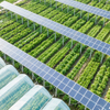 Solarpark Agrarsystem Racking Solar Panel Kits für PV Ground Monting System Solar Power Farm