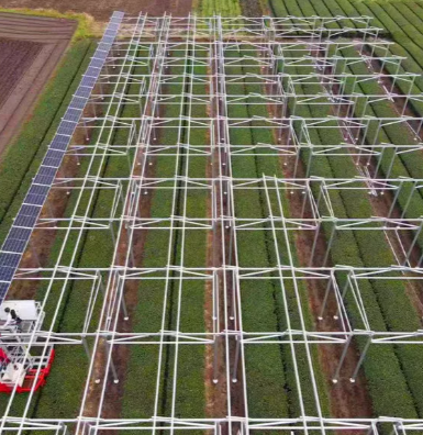 Wofür werden Solarparks verwendet?